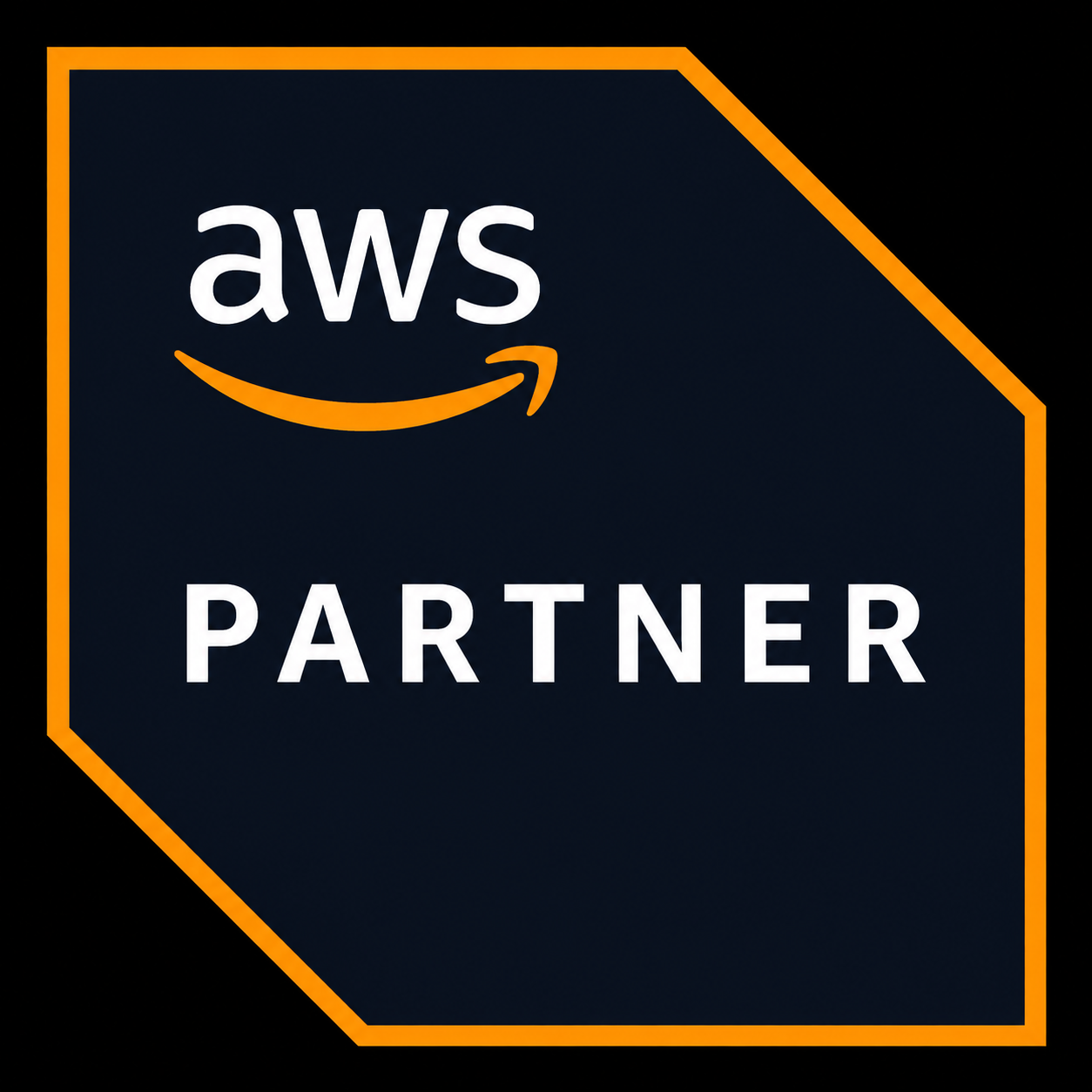 AWS Partner